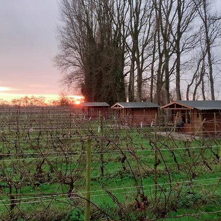 Wijndomein De Vier Ambachten -Overnachten In De Wijngaard Simonshaven 外观 照片