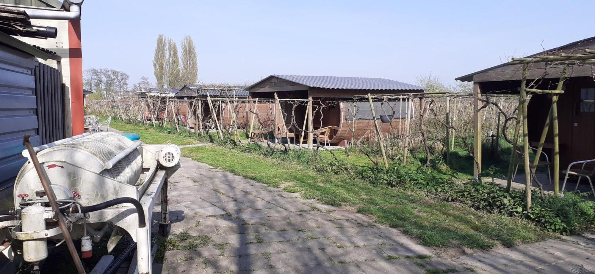 Wijndomein De Vier Ambachten -Overnachten In De Wijngaard Simonshaven 外观 照片
